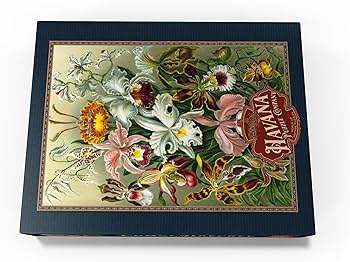 Amazon.com: MyPuzzle Orchid - Nature Art Forms, Vintage Art Poster