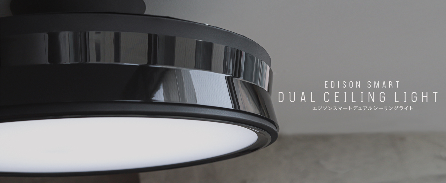 Amazon.co.jp: Edison Smart Dual Ceiling Light (For Hanging Ceiling