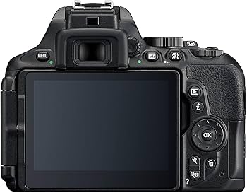 Amazon.com : D5600 DX-Format Digital SLR w/AF-P DX NIKKOR 18-55mm