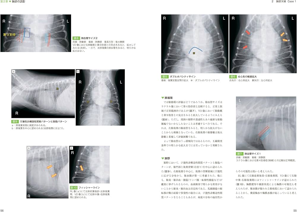 思考プロセスを習得する犬と猫のX線読影 | 坂大 智洋, 上月 遥香, 中山