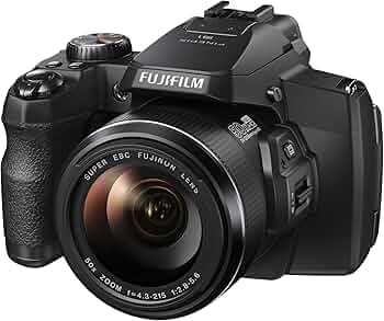 Amazon.com : Fujifilm FinePix S1 16 MP Digital Camera with 3.0