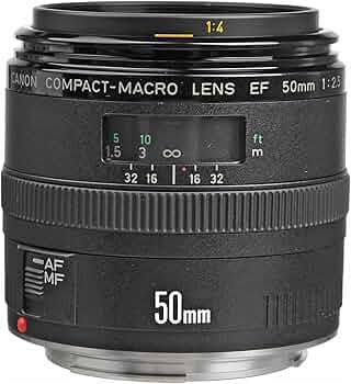 81BbgLkPhVL._AC_UF350,