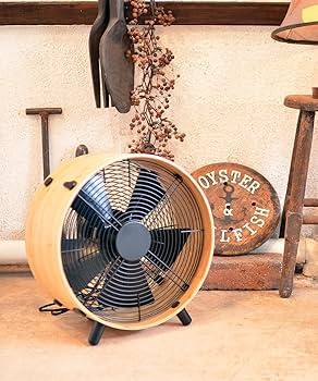 81BuF7ESzzL._AC_UF350,