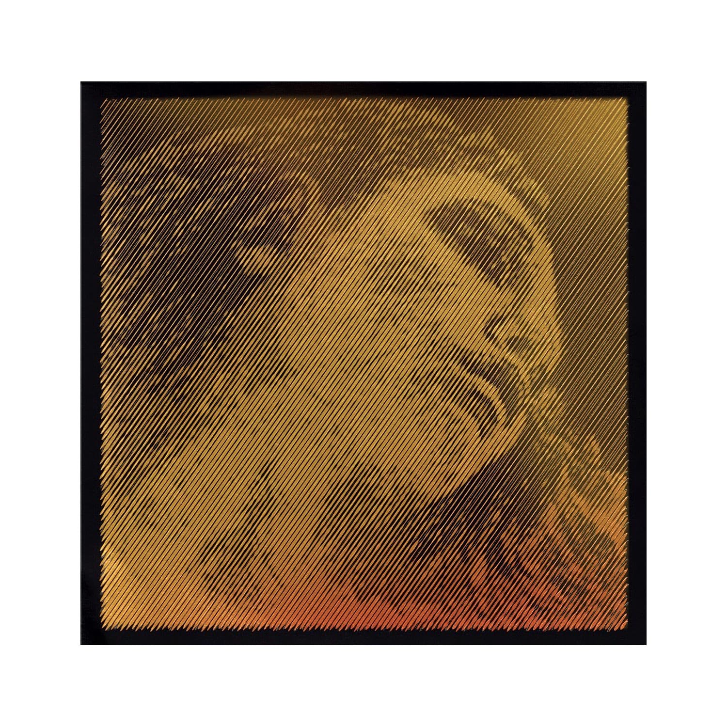 Amazon.com: Pirastro Violin Evah Pirazzi Gold Set, Medium Gold