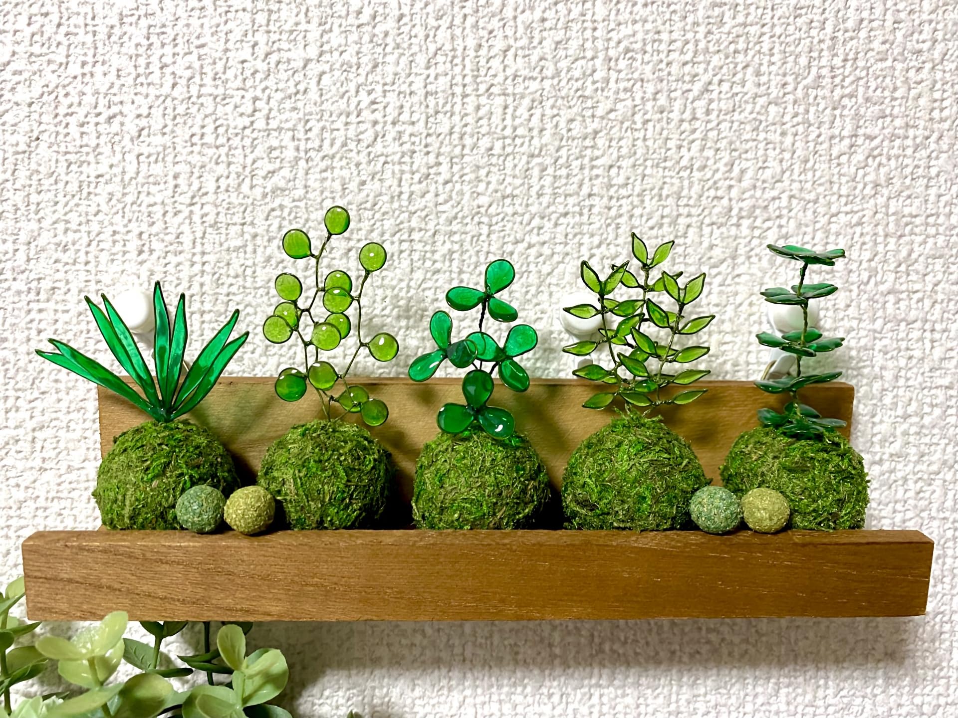 Amazon｜【華みやび】ミニ苔玉キット 3個分セット 5センチ程3つ分