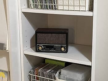 Amazon.co.jp: FESCO 唱歌ラヂオ DX100 AM/FMラジオ付き音楽プレイヤー