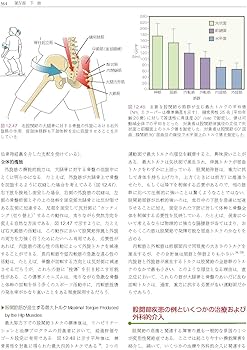 Amazon.co.jp: 筋骨格系のキネシオロジー 原著第3版 : Donald A