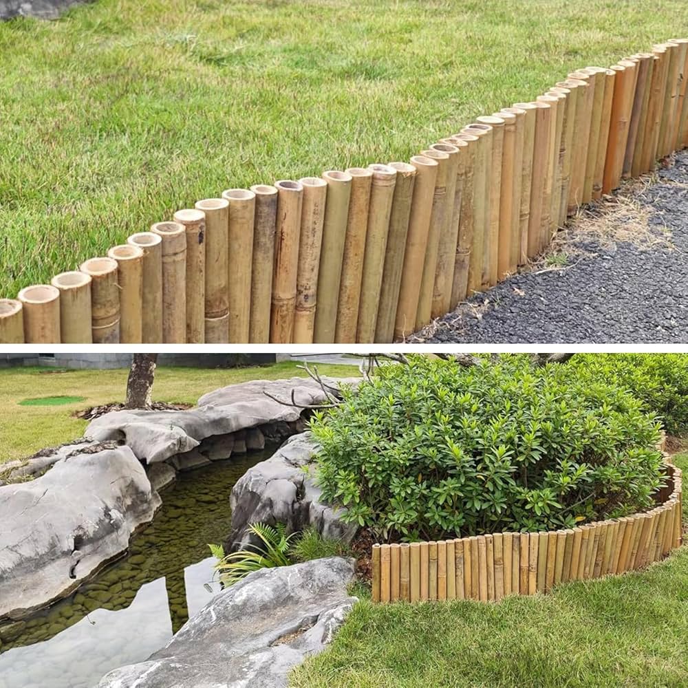 81DpcD9ds9L._AC_UF1000,