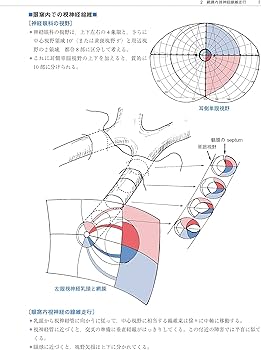 Amazon.co.jp: 神経眼科 第4版: 臨床のために : 江本 博文, 清澤 源弘