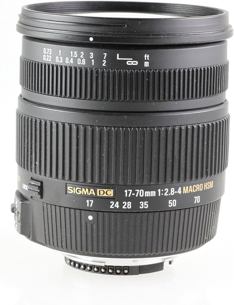 Amazon.co.jp: SIGMA 17-70mm F2.8-4 DC MACRO OS HSM ニコン用 17