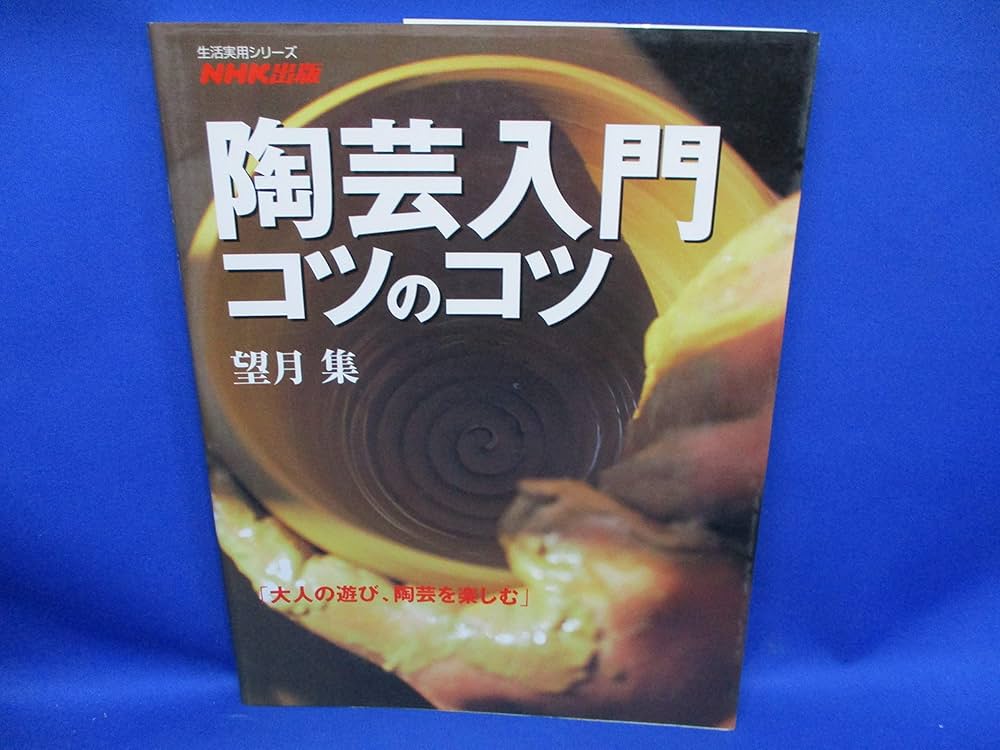 陶芸入門コツのコツ: 大人の遊び、陶芸を楽しむ (生活実用シリーズ