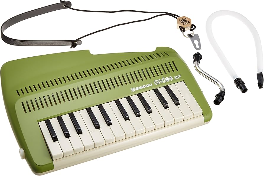 Amazon.com: Suzuki A-25F 25-Key Andes Recorder-Keyboard with