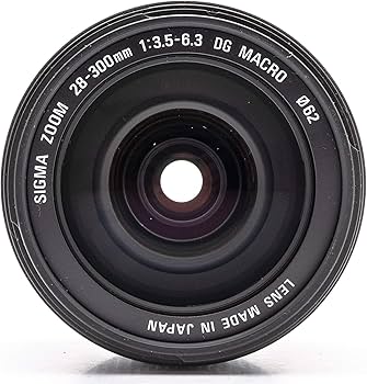 Amazon.com : Sigma 28-300mm f/3.5-6.3 DG Macro Aspherical Lens for