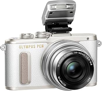 Amazon | OLYMPUS ミラーレス一眼 E-PL8 EZ ダブルズームキット