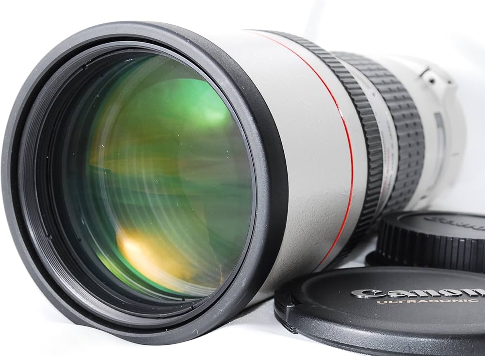 Amazon.co.jp: Canon EF 300 mm F4 L USM : 家電＆カメラ