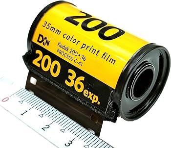 81GifURFhxL._AC_UF350,