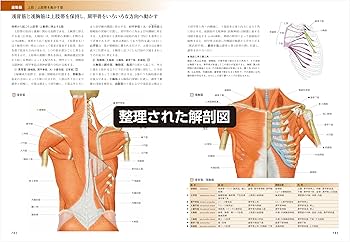 カラー図解 人体の正常構造と機能(全10巻縮刷版・全1冊)第5版最新版