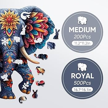 81HmeT5qlAL._AC_UF350,