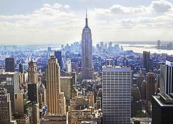 81INcwTSUPL._AC_UF350,