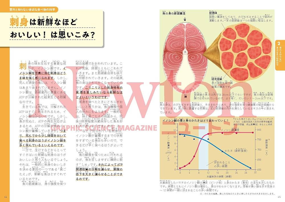 Amazon.co.jp: 超絵解本 食と栄養の科学 : 中村 丁次: Japanese Books