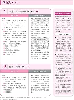 領域別 看護過程展開ガイド 第2版 (プチナースBOOKS) | 任 和子, 任