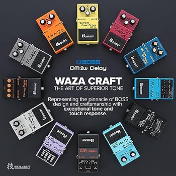 Amazon.com: Boss DM-2W Delay Waza Craft Guitar Effects Pedal