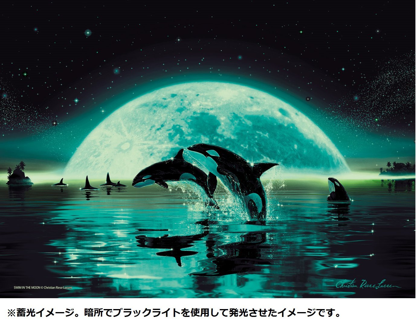 Amazon | 500ピース 光るジグソーパズル めざせ! パズルの達人