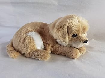 Amazon.co.jp: PawFection Pets ゴールデンレトリバー 犬 リアル 本物