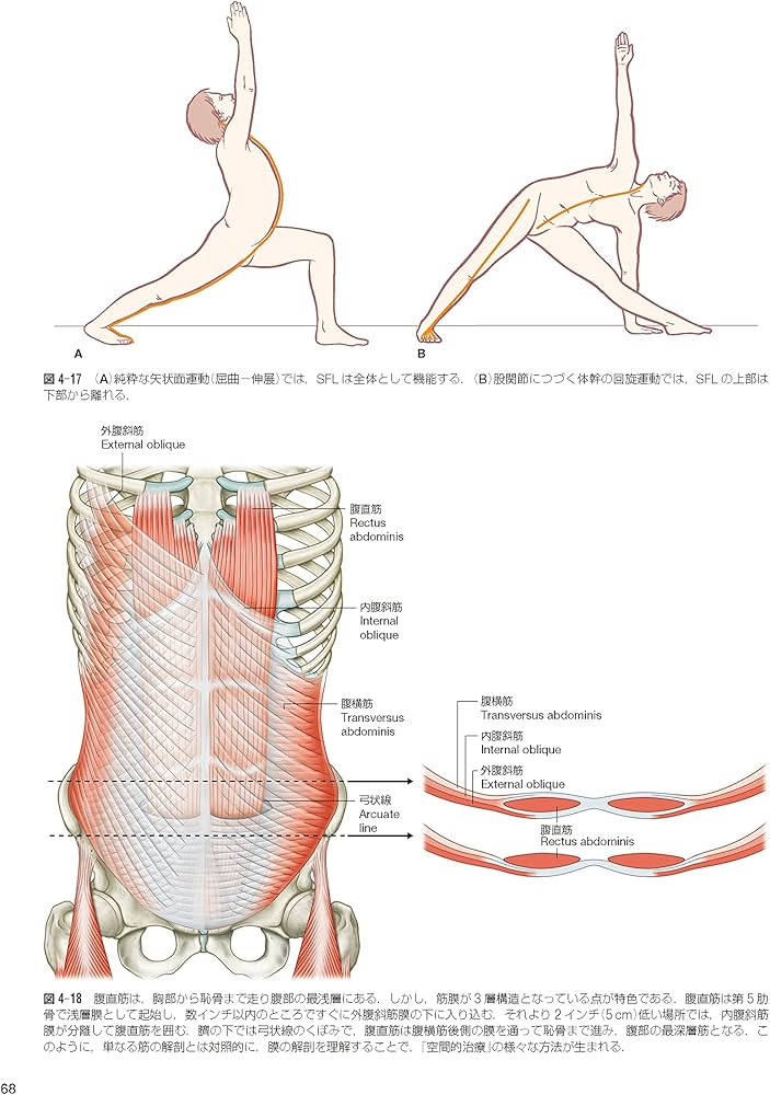 81LGpTUnSsL._AC_UF1000,