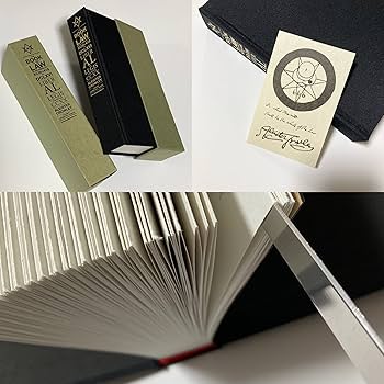 81gmG8bQdJL._AC_UF350,