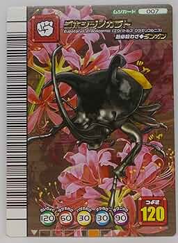 81h9ycvhGcL._AC_UF350,