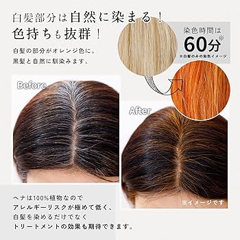 Amazon | 【みんなでみらいを】THE HENNA 国産 ヘナ《簡単 お試し