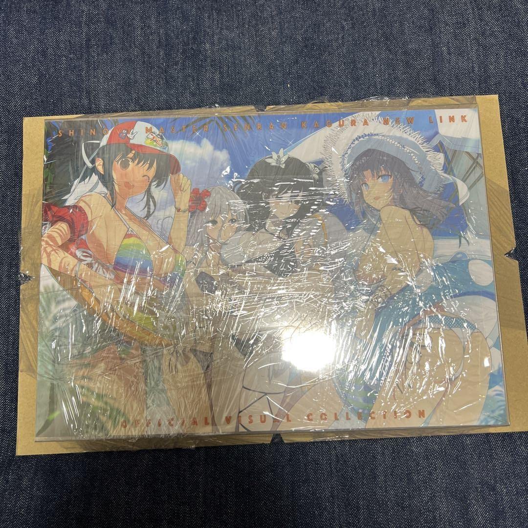 Amazon.co.jp: 閃乱カグラ 閃乱カグラTEN シノビマスター 公式画集