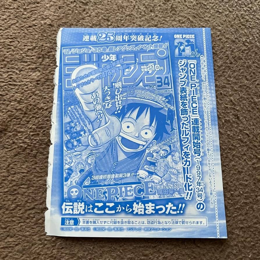 Amazon.co.jp: 週刊少年ジャンプ 特別限定とじ込み付録 ワンピース