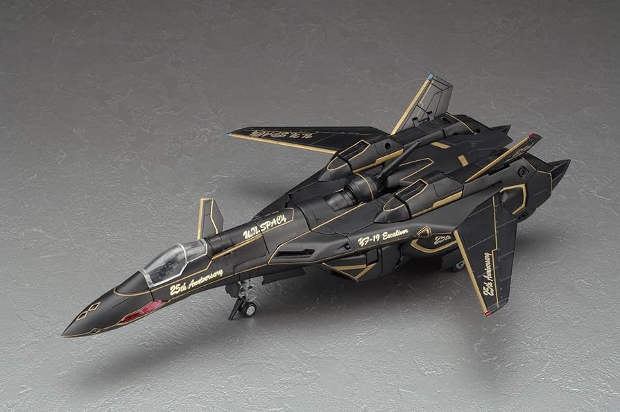 Amazon.com: Macross Plus Yf-19 Valkyrie 25th Anniversary 1/60