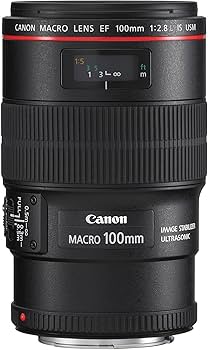 Amazon.com : Canon EF 100mm f/2.8L IS USM Macro Lens for Canon