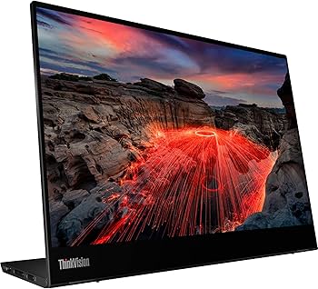 Amazon.com: ThinkVision M14t Gen2 14-inch Monitor : Electronics