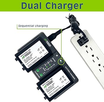 Amazon.com: Wasabi Power Battery 2-Pack and Dual Charger for Nikon