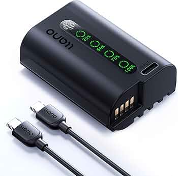 Amazon | llano DMW-BLK22 交換用 カメラバッテリー 2600mAh大容量/USB