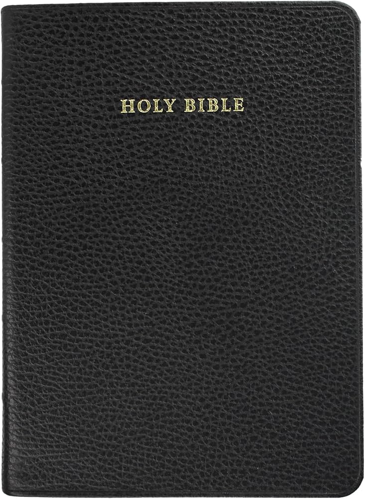 NIV Clarion Reference Bible, Black Calf Split Leather, NI484:X
