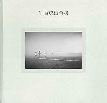 81mlYxo7tOL._AC_UF350,