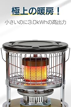 81mnh6268FL._AC_UF350,