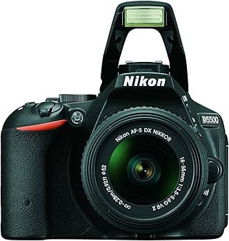 Amazon.com : Nikon D5500 DX-format Digital SLR w/ 18-55mm VR II