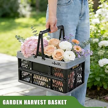 Amazon.com: ZHJINGYU plastic baskets with handles 20L,collapsible