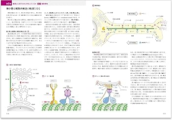 カラー図解 人体の細胞生物学【改訂第2版】電子書籍付き | 坂井 建雄