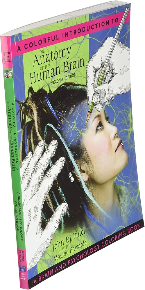 Colorful Introduction to the Anatomy of the Human Brain, A: A