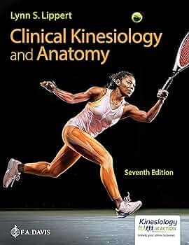 81ouWXudYGL._AC_UF350,