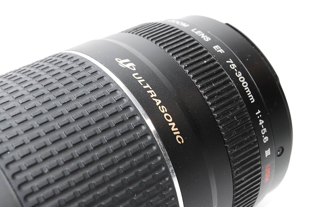 キヤノン☆手ブレ補正付 超望遠レンズ EF 75-300mm IS USM 【公式通販】