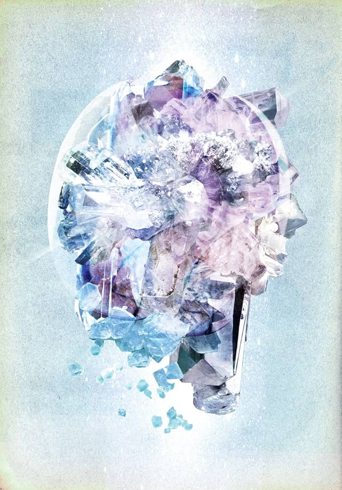 Amazon.co.jp: RADWIMPS Live & Document 2014「×と○と君と」(通常盤