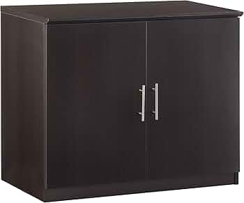 Amazon.com: Safco MSCLDC Medina 2-Door Storage Cabinet, 36